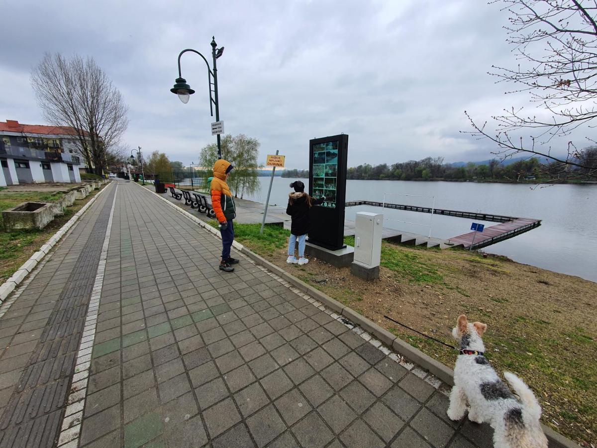 Andjelka A26 Lejlighed Veliko Gradište Eksteriør billede